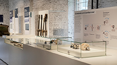 „kurtz ersa hammermuseum“ hasloch